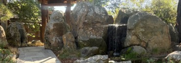 Japanese Garden photo
