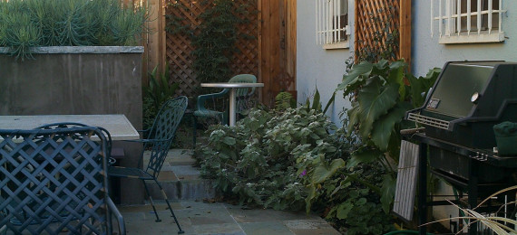 Grand Lake, Oakland Backyard