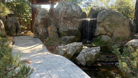 Experience our recently completed Japanese Garden renovation!