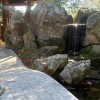 Japanese Garden photo