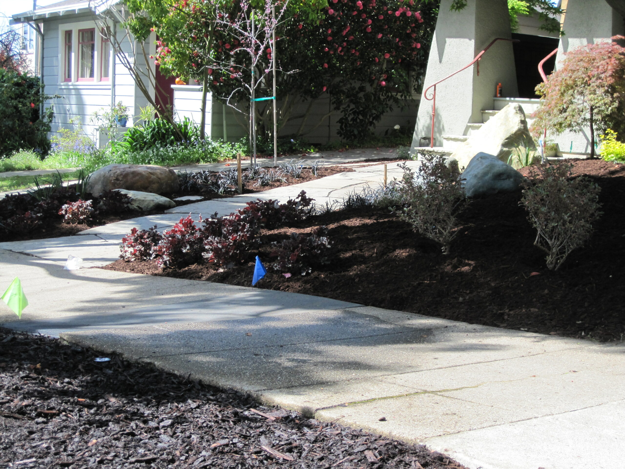 A concrete walkway winds through a recently landscaped yard with new plantings, mulch, large rocks, and utility markers by the entry.