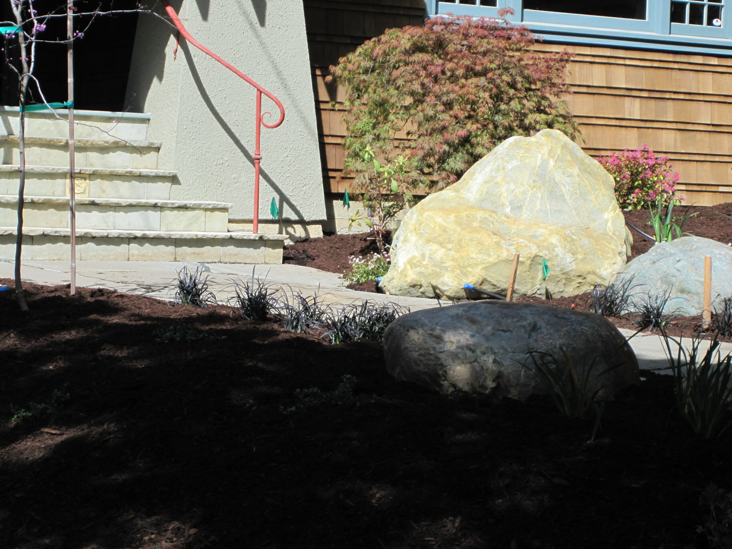 A landscaped Albany front yard with large rocks, small plants, sturdy handrail, and steps leading to a house with solid siding.