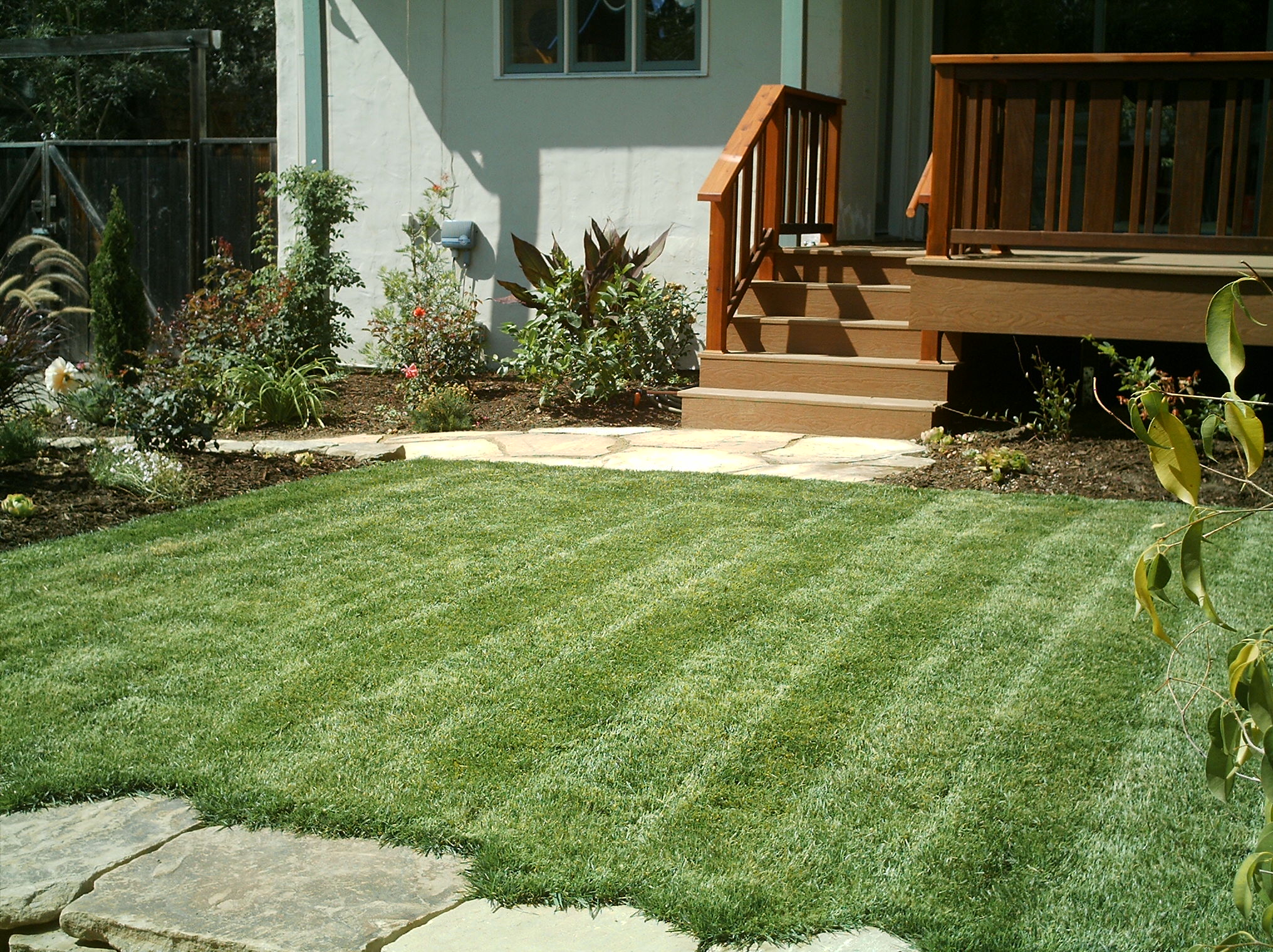 Well-maintained lawn with defined stripes, landscaped beds, and an Elmwood Deck porch and steps offering structural value.