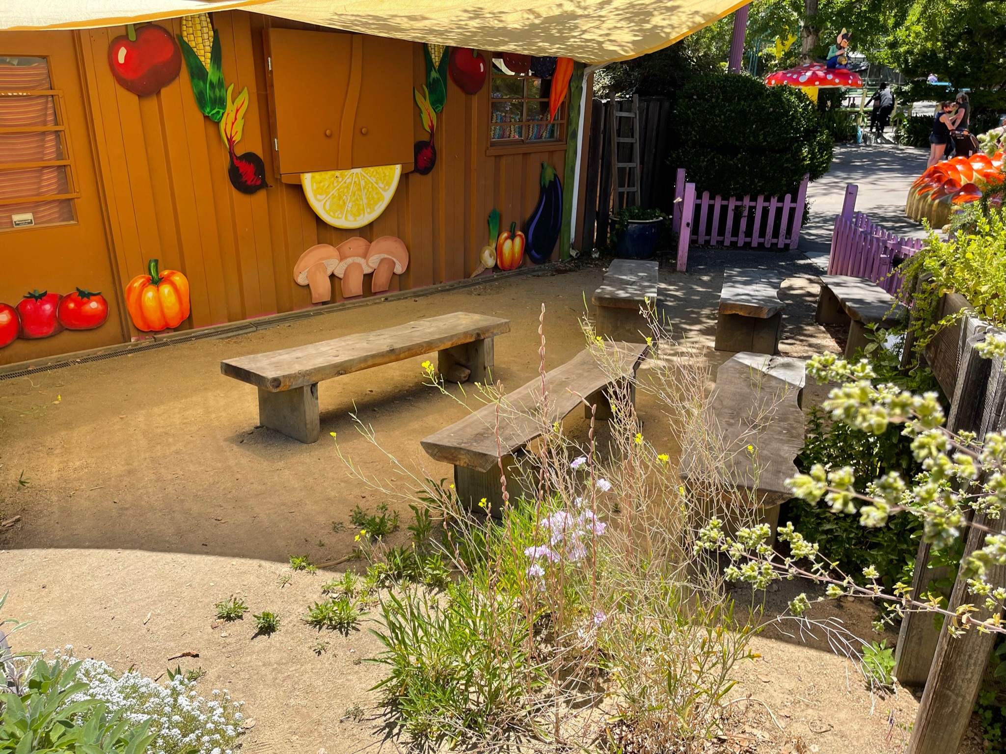 Outdoor area in front of building with shade canopy, landscaped borders, and accessibility features suitable for multi-use space.
