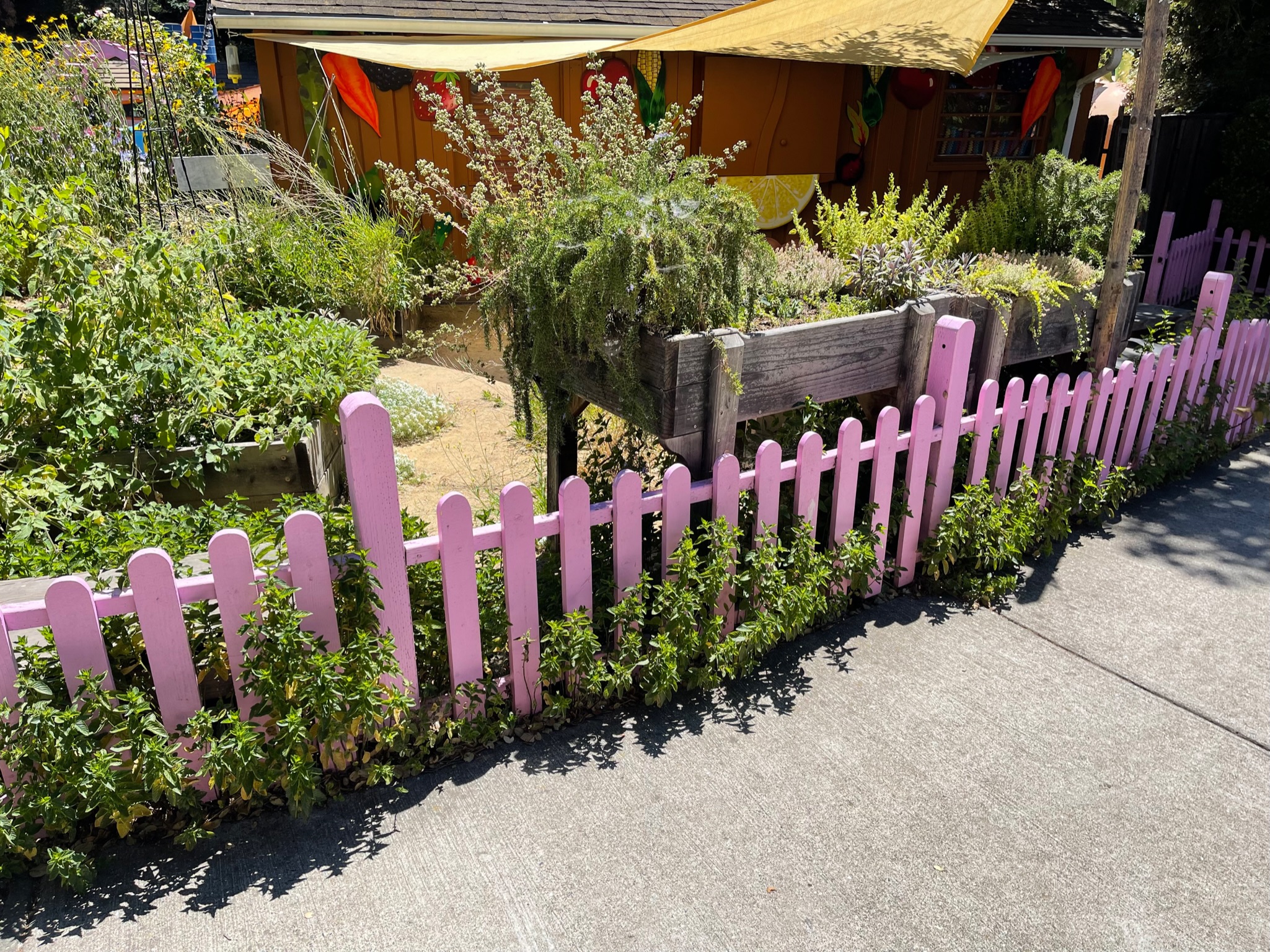 Wooden picket fence and established raised garden beds in front of building, offering landscaping potential for redevelopment.