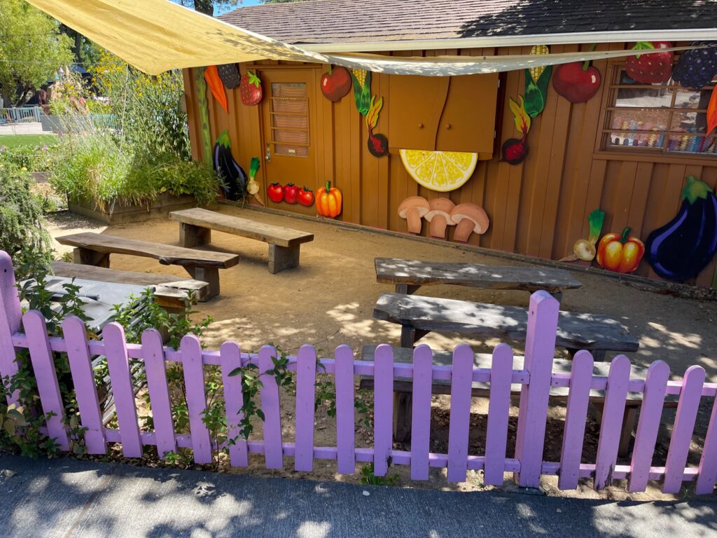 Compact outdoor area with natural ground cover and perimeter fencing beside a building, offering flexible redevelopment potential.