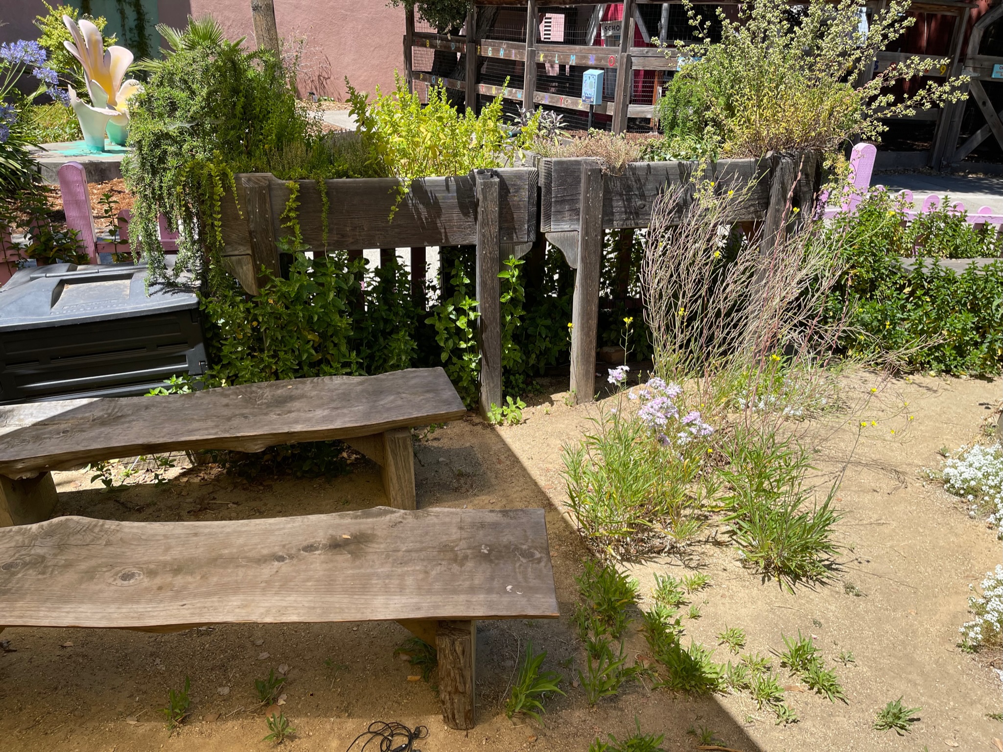 Outdoor area features sandy ground, well-lit space, existing planters with mature plants, and accessible classroom layout.