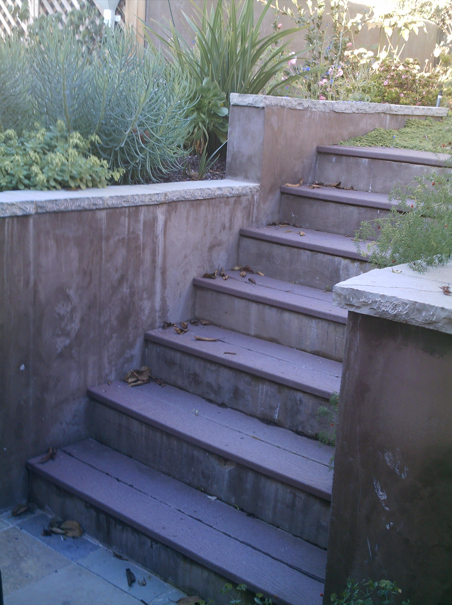 Concrete steps with wooden treads provide durable access to a backyard garden, indicating potential for structural enhancements.