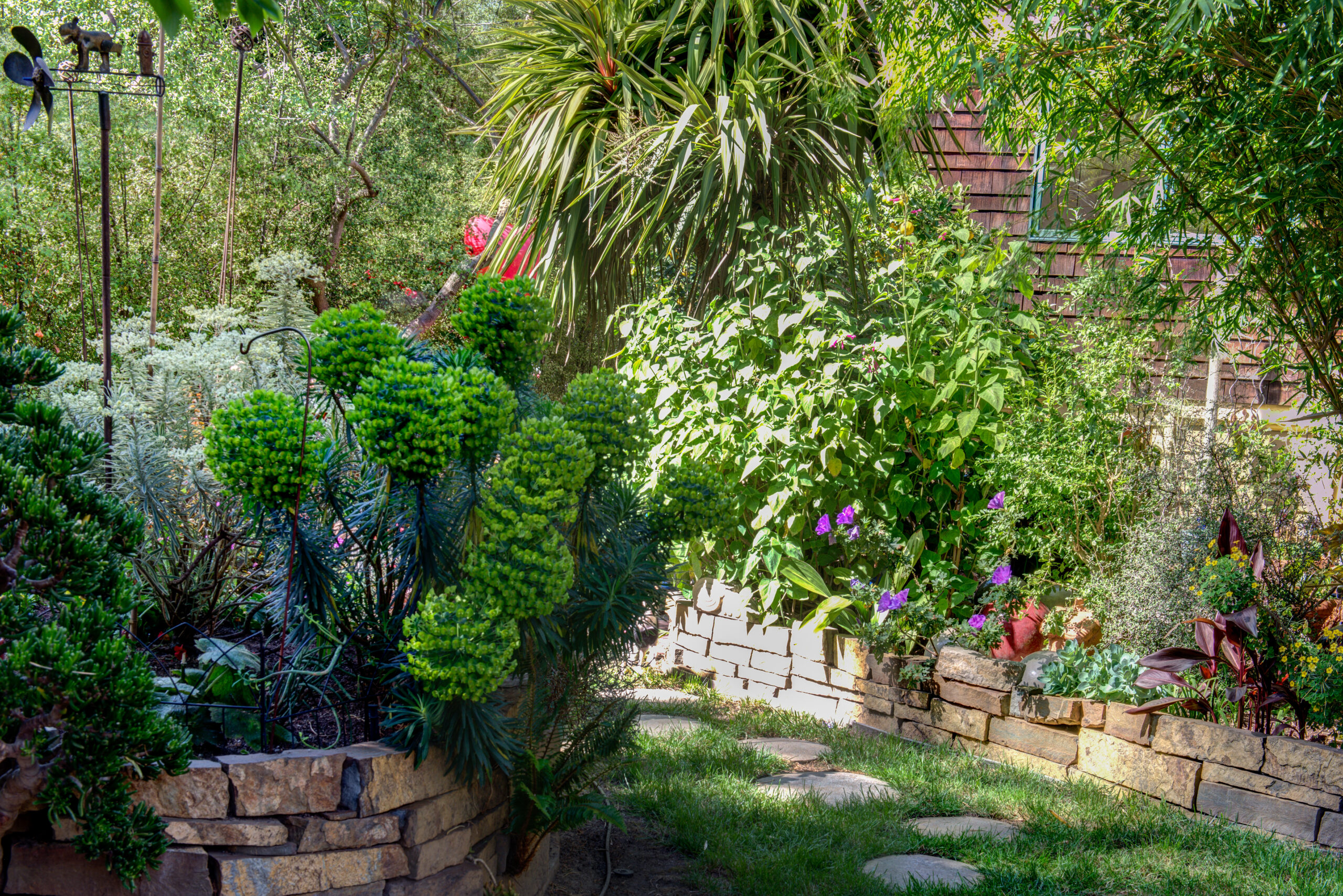 Backyard garden in North Oakland with stone wall borders and a path of stepping stones, offering landscaping structure and flow.