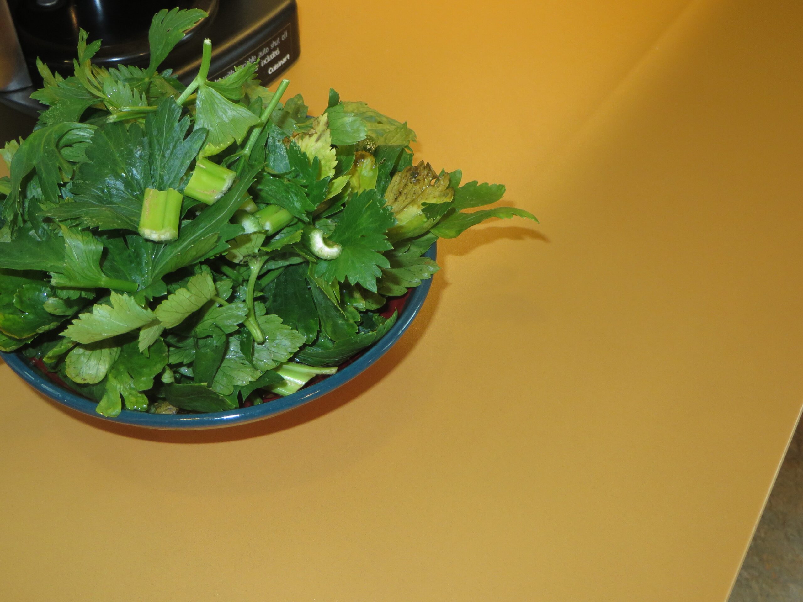 A bowl of fresh celery leaves rests on the sturdy, well-maintained kitchen countertop, indicating quality surfaces throughout.