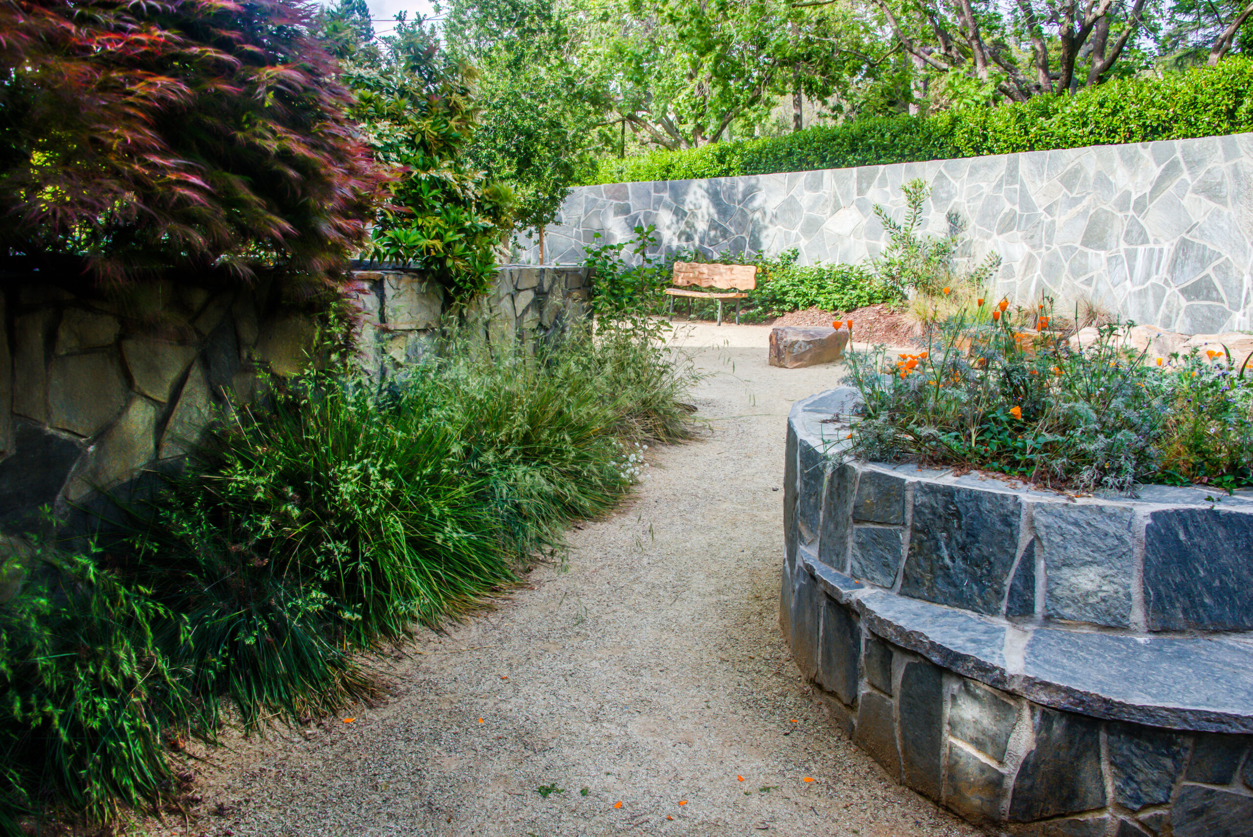 A gravel path winds through a landscaped garden featuring durable stone walls and established plantings near Northbrae Community Church.