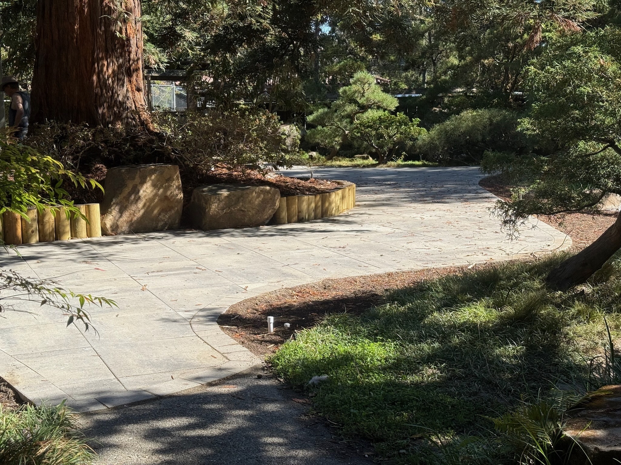 Curved stone pathway with established edging, mature trees, and shrubs offering natural privacy potential near Lake Merritt.