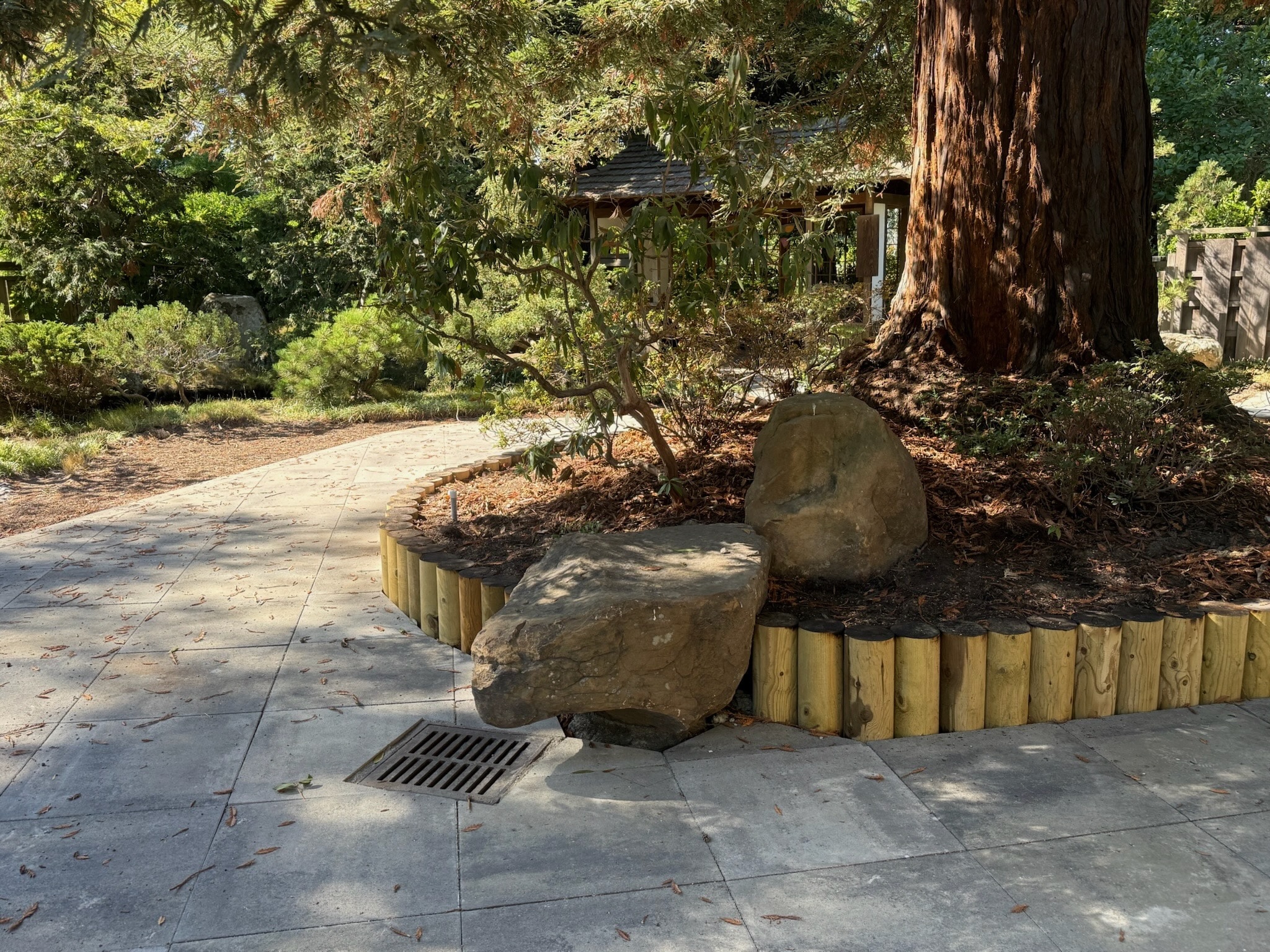 Mature tree and rocks with a defined mulch bed, adjacent to concrete walkway featuring proper drainage, offering landscaping potential.