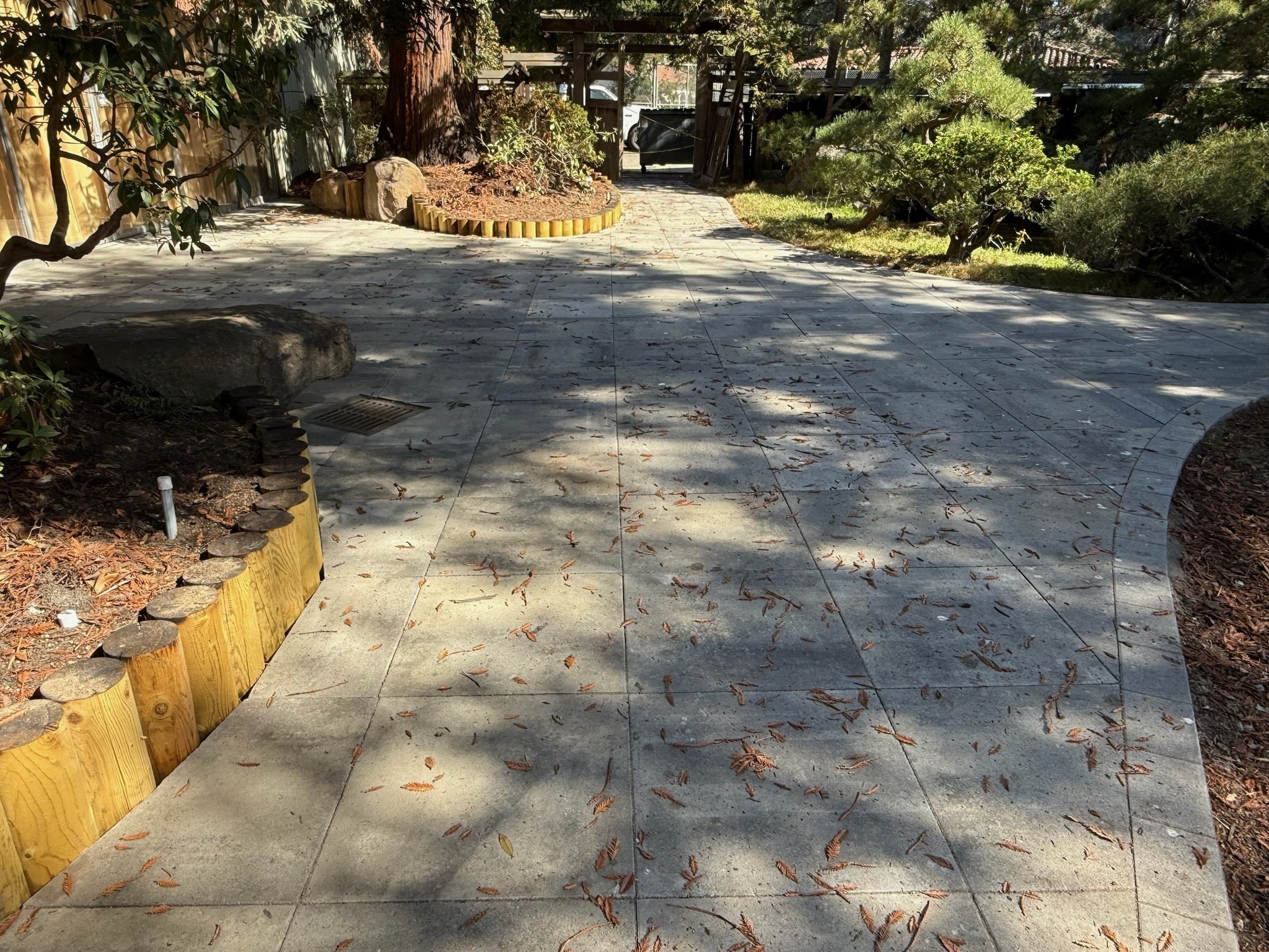 Curved paved walkway with wood edging in landscaped garden, featuring mature trees and low-maintenance ground covering.